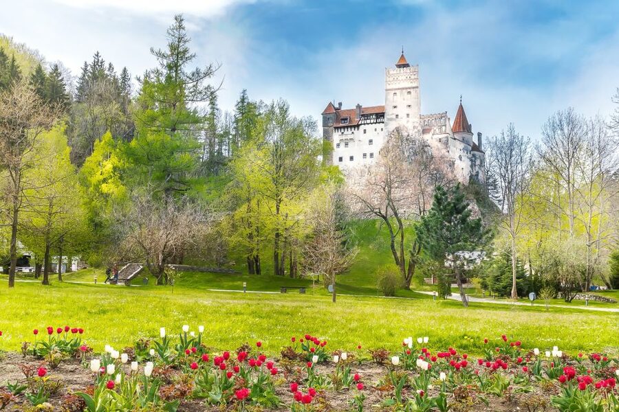 Bucharest: Day Trip to Dracula Castle, Peles Castle & Brașov - Brașov: the most pleasant walking stop