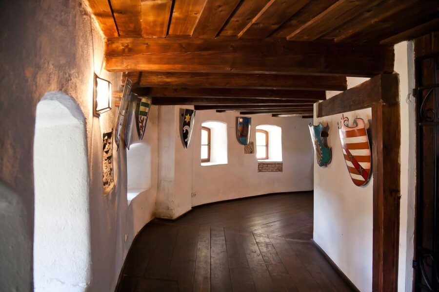 Bucharest: Day Trip to Dracula Castle, Peles Castle & Brașov - The guide can make or break the day