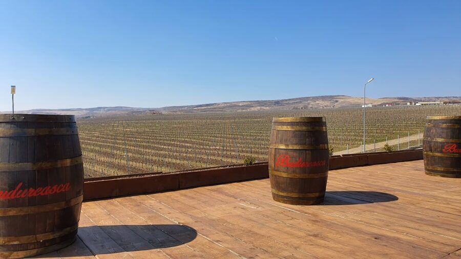 Bucharest: Dealu Mare Winery Private Trip with Wine Tasting - Key points at a glance