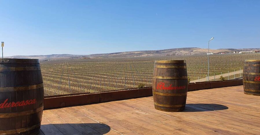 Bucharest: Dealu Mare Winery Private Trip with Wine Tasting - Leaving Bucharest for Dealu Mare