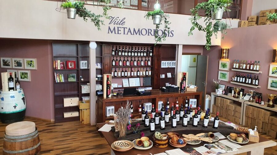 Bucharest: Dealu Mare Winery Private Trip with Wine Tasting - Timing, comfort, and practical planning