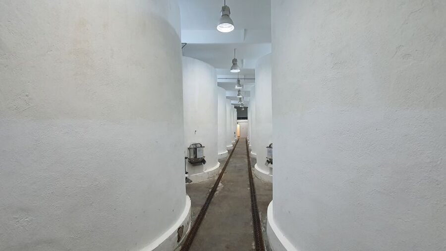 Bucharest: Dealu Mare Winery Private Trip with Wine Tasting - Who will enjoy this trip most