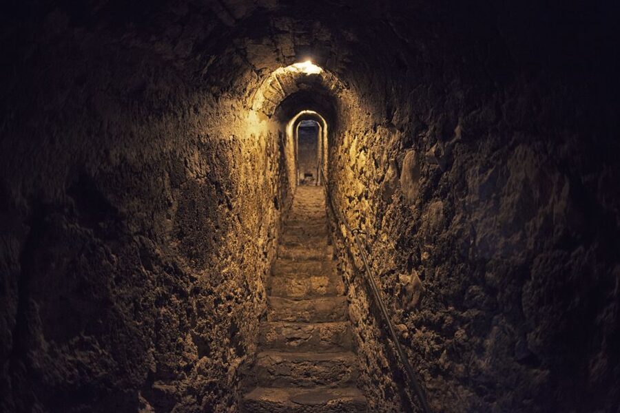 Bucharest: Dracula Castle, Peles Castle & Brasov Guided Tour - Key points before you book