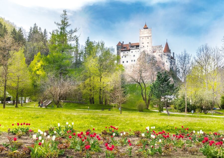 Bucharest: Dracula Castle, Peles Castle & Brasov Guided Tour - Peleș Castle, Romania’s grand royal residence
