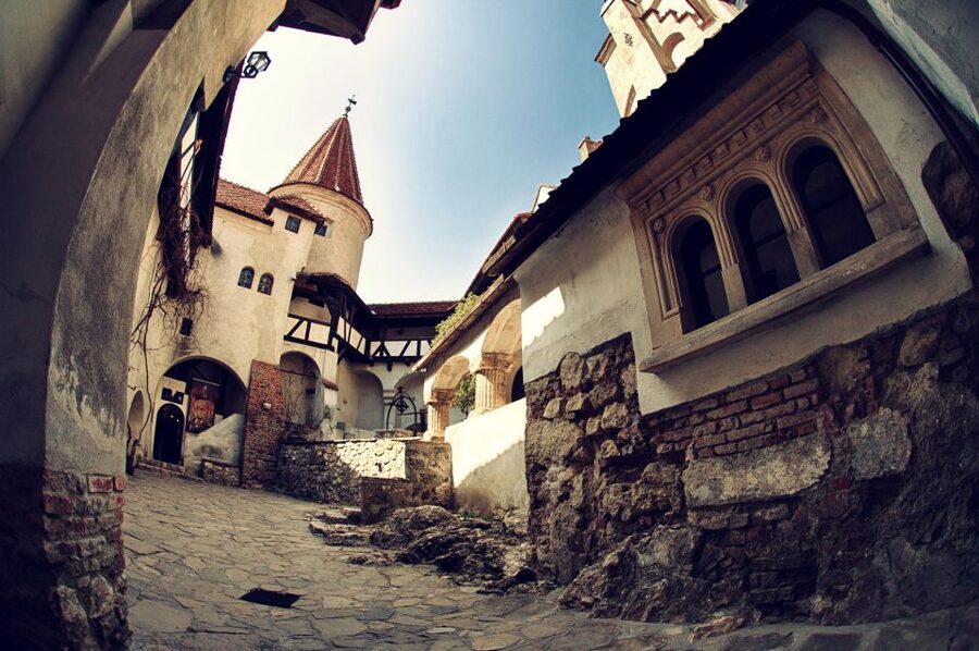 Bucharest: Dracula Castle, Peles Castle & Brasov Guided Tour - The road to Sinaia and the Carpathians