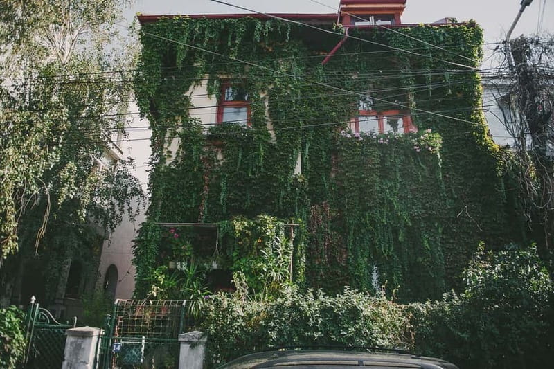 Bucharest: Hidden Gems 2.5-Hour Walking Tour - Is $45 a fair price?