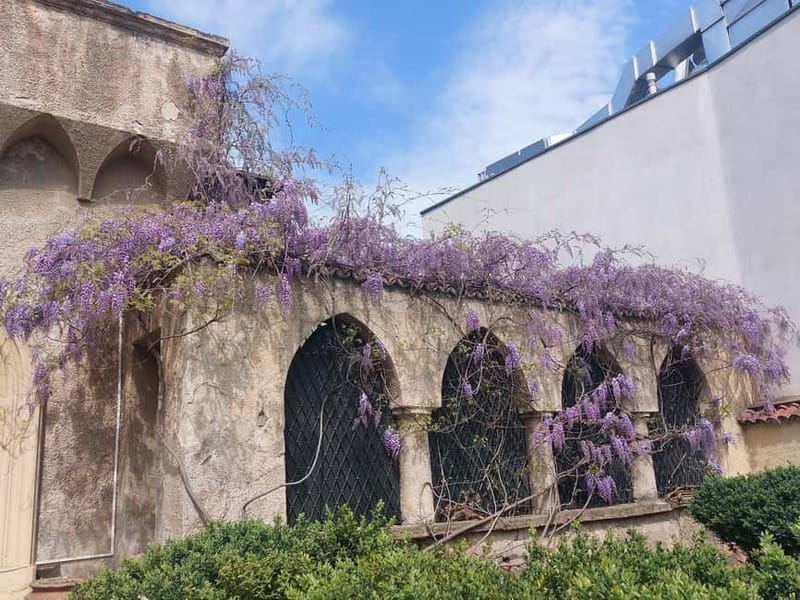 Bucharest: Hidden Gems 2.5-Hour Walking Tour - Mantuleasa Street and the world of Mircea Eliade
