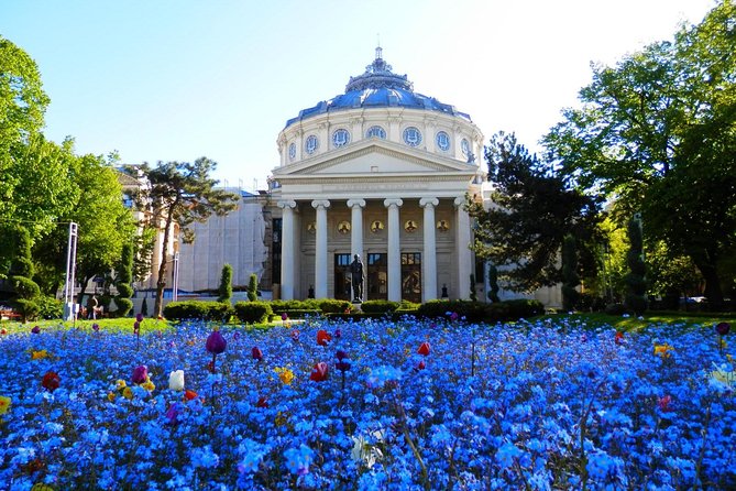 Bucharest Layover Tour (6 - Hour Private City Tour Between Flights) - Five things to know before booking