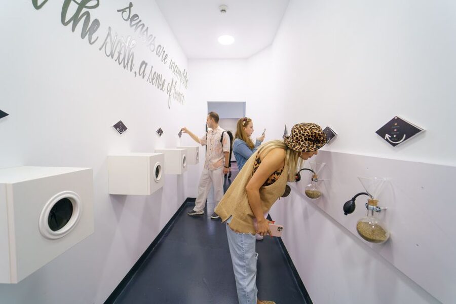 Bucharest: Museum of Senses Entry Ticket - Who will enjoy it most