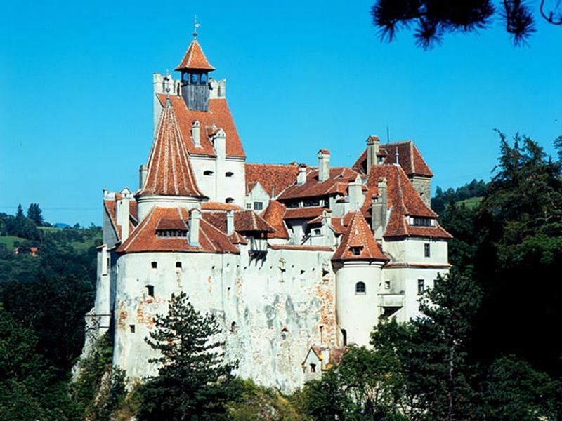Bucharest: Peles Castle, Dracula's Castle and Brasov Tour - Brașov’s old center in 2.5 hours