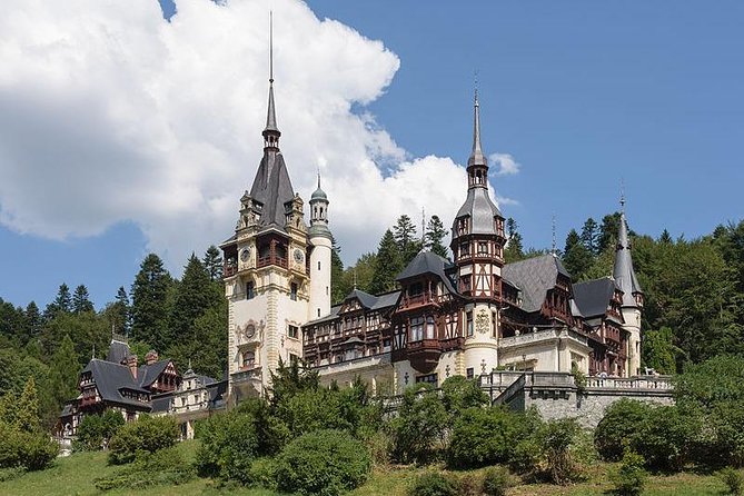 Bucharest Private Tour to Peles Castle & Biggest Salt Mine in Eu - Timing, fitness, and small practical details