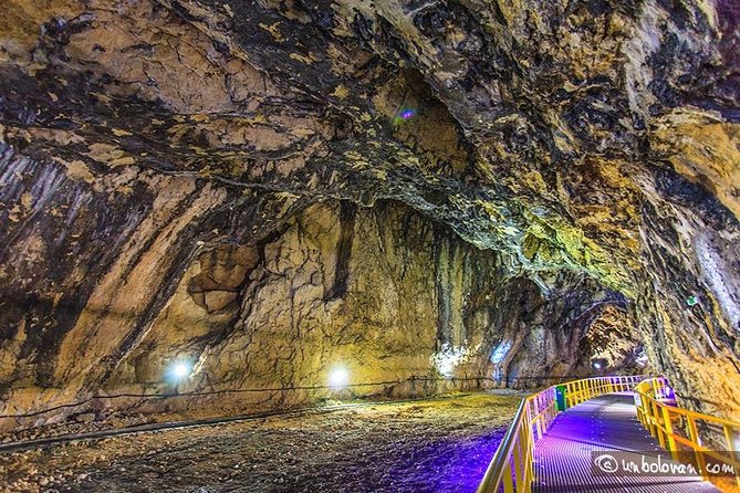 Bucharest Private Tour to Peles Castle & Biggest Salt Mine in Eu - Peles Castle and King Carol I’s mountain retreat