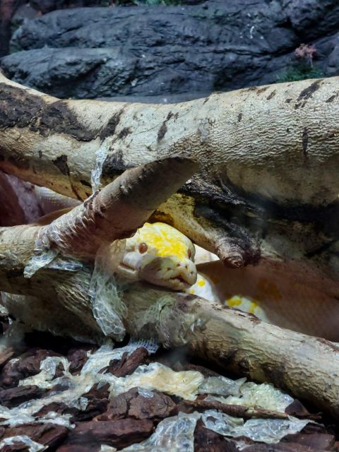 Bucharest: Reptiland Bucharest Entry Ticket - Key Points Before You Go