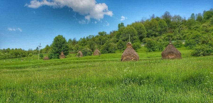 Bucharest: The Biggest Salt Mine in Europe & Wine Tasting - Who should book this experience