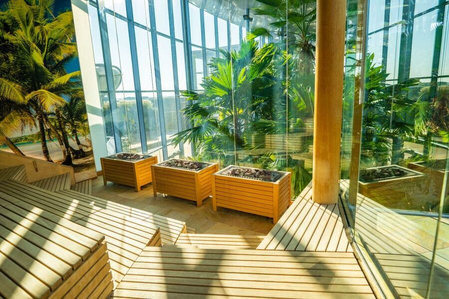 Bucharest: Therme Bucharest Entry Ticket and Transfer - The Palm trades water-park noise for tropical calm