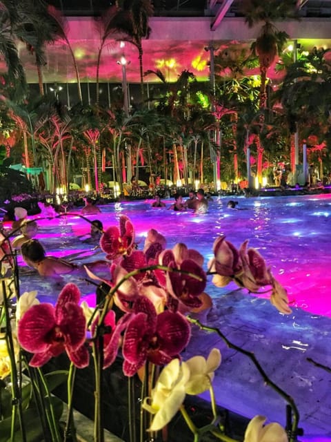 Bucharest: Therme Spa Night Experience with Transfer - Warm geothermal pools and what the water means