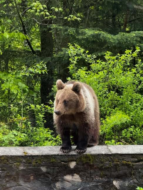 Bucharest: Top Gear Road Transfagarasan Day Trip - Vidraru Dam: a powerful first stop