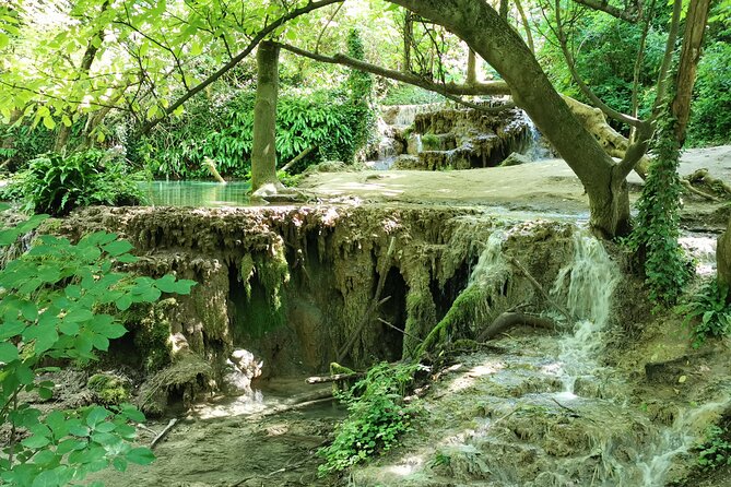Bulgaria -Private Tour - Caves, Waterfalls, Hiking, National Park - What the Private Guide Adds