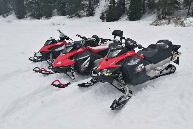 Carpathian mountains Snowmobile, ATV or Buggy tour in one day - Peles Castle in one focused hour