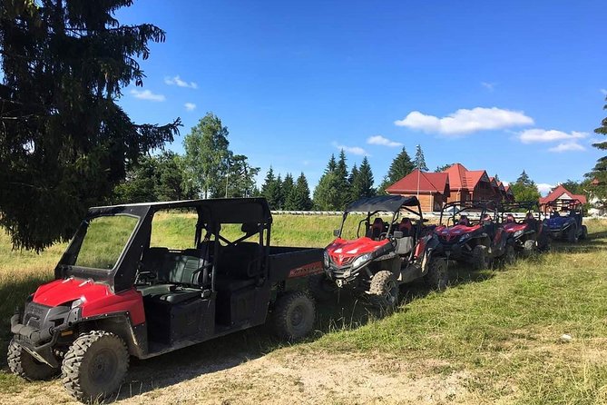 Carpathian mountains Snowmobile, ATV or Buggy tour in one day - Is $403.34 a fair price?