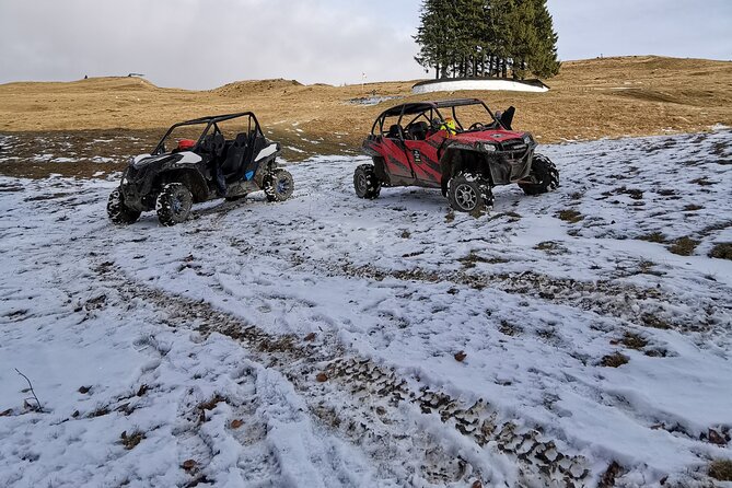 Carpathian mountains Snowmobile, ATV or Buggy tour in one day - Who should book this Carpathian outing?