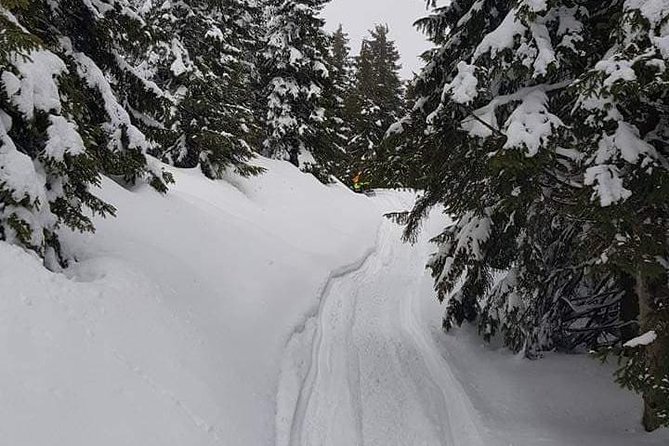 Carpathian mountains Snowmobile, ATV or Buggy tour in one day - Azuga and the one-hour mountain ride