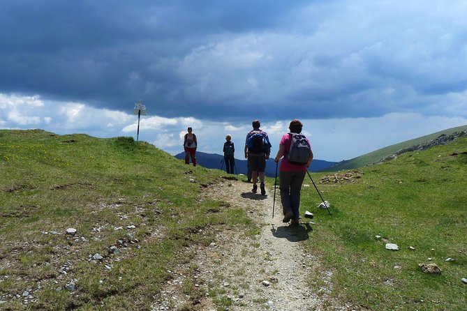 Carpathians in Romania: Bucegi Natural Park with native Spanish guide. - The route from Moieciu de Sus to Gutanu