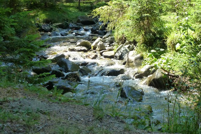 Carpathians in Romania: Bucegi Natural Park with native Spanish guide. - What Nacho adds to the experience