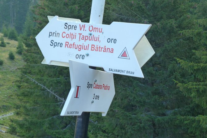 Carpathians in Romania: Bucegi Natural Park with native Spanish guide. - Fitness, equipment, and weather