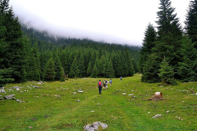 Carpathians in Romania: Piatra Craiului National Park with native Spanish guide. - Walking through Prapastiile Zarnestilor