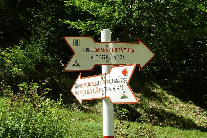 Carpathians in Romania: Piatra Craiului National Park with native Spanish guide. - Climbing toward Curmatura Cabin