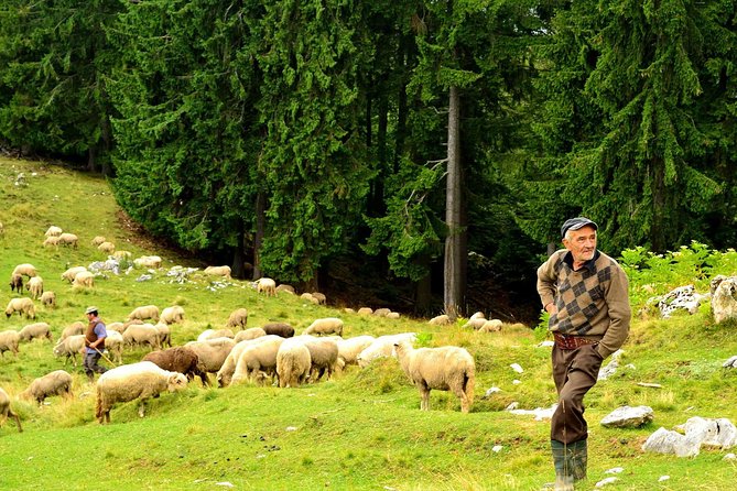 Carpathians in Romania: Piatra Craiului National Park with native Spanish guide. - What Nacho adds to the walk