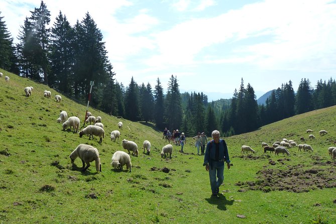 Carpathians in Romania: Piatra Craiului National Park with native Spanish guide. - Food, drinks, and what to pack