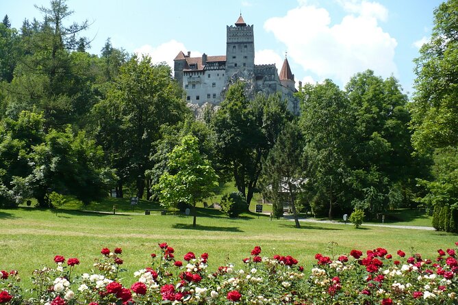 Castles Private Tour Peles - Bran - Rasnov from Brasov - A guide who shapes the whole experience