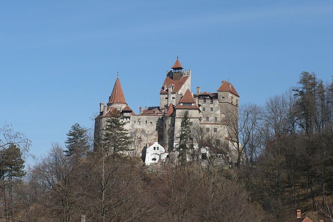 Castles Private Tour Peles - Bran - Rasnov from Brasov - Timing, walking, and practical comfort
