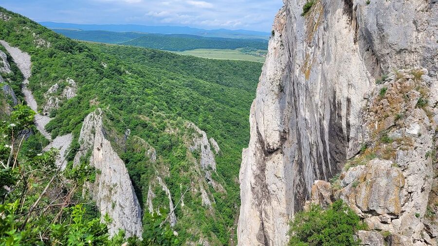 Cluj Napoca: Climbing or Hiking Experience in Turda Canion - Who should book, and who should stay away