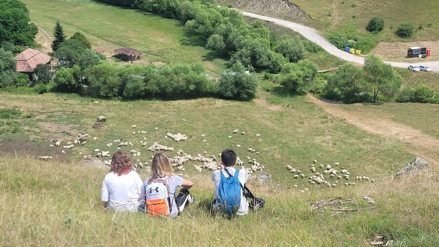 Cluj: Outdoor Activities Day Trip with Zip Line and Hike - What the $115 Price Includes