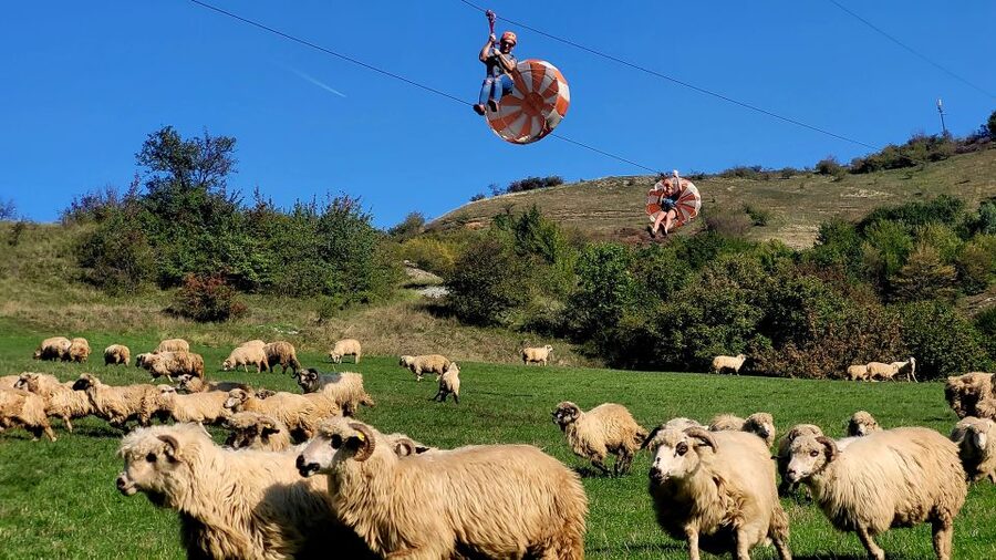 Cluj: Outdoor Activities Day Trip with Zip Line and Hike - Who Should Book This Adventure?
