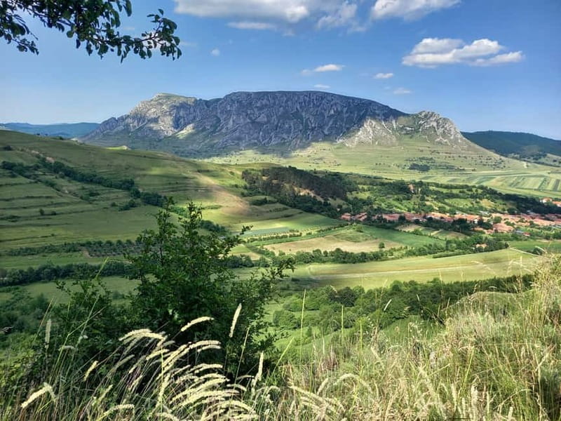 Cluj: Turda Salt Mines, Rimetea, and Coltesti Fortress Tour - The guides are central to the experience