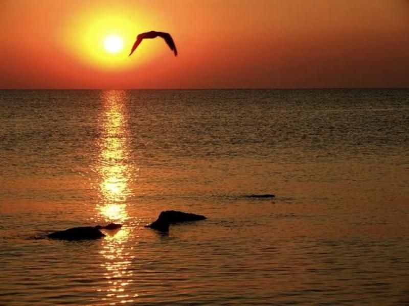 Constanta: Full Day Tour from Bucharest to the Black Sea - Why Constanta makes a worthwhile day from Bucharest
