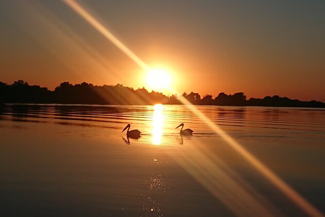 Daily Tours in the Danube Delta - Camely Cruise - Who will enjoy Camely Cruise most?