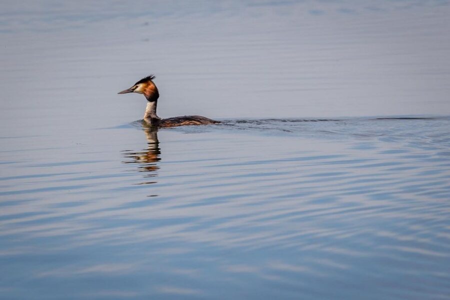 Danube Delta - 2-Day Tour from Bucharest - Why two days is the right amount of time