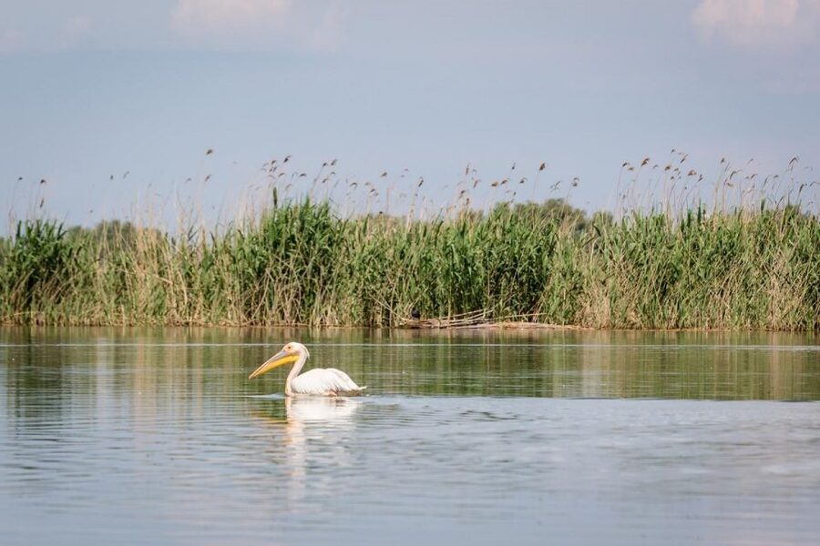 Danube Delta - 2-Day Tour from Bucharest - Is $505 a fair price?