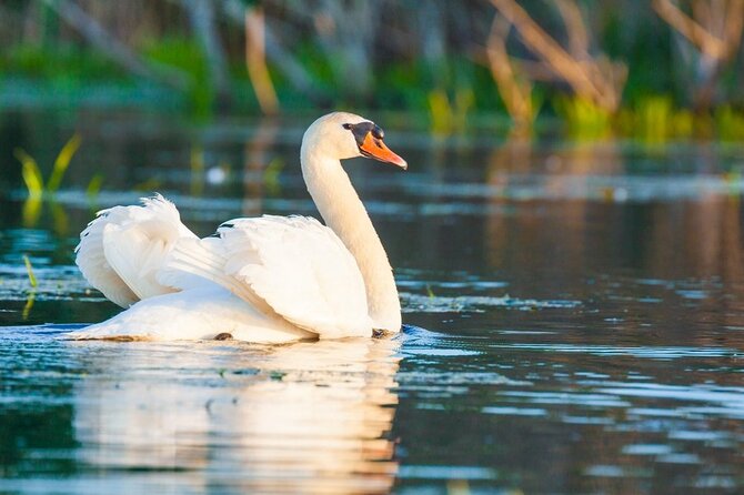 Danube Delta and Black See - 2 Days Private Tour from Bucharest - Spending the night in Tulcea