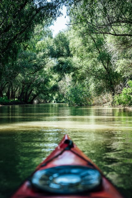 Danube Delta: Boat Tour Through the Water Lily Reserve - Is $22 a fair price?
