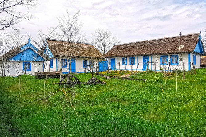 Danube Delta PRIVATE boat trip to Letea Forest (guided tour) - Leaving Tulcea for the remote channels