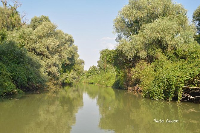 Danube Delta PRIVATE boat trip to Mila23 Village (guided tour) - Key points to know before you go