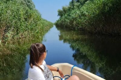 Danube Delta – Private Tour with Boat Trip & Traditional Lunch