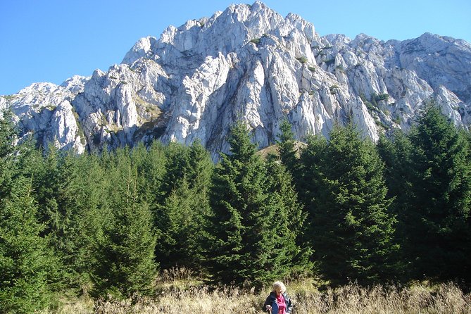 Day Hike in Carpathian Mountains for all levels in five areas - Forest paths, meadows, and changing ground