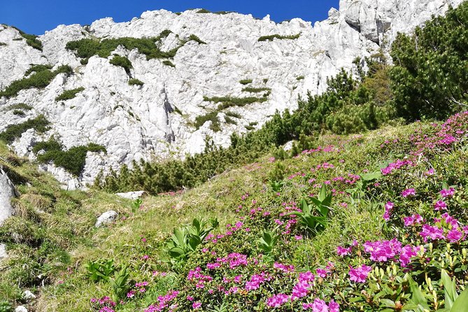 Day Hike PRIVATE - Piatra Craiului National Park - From Piața Sfatului to the Piatra Craiului trails